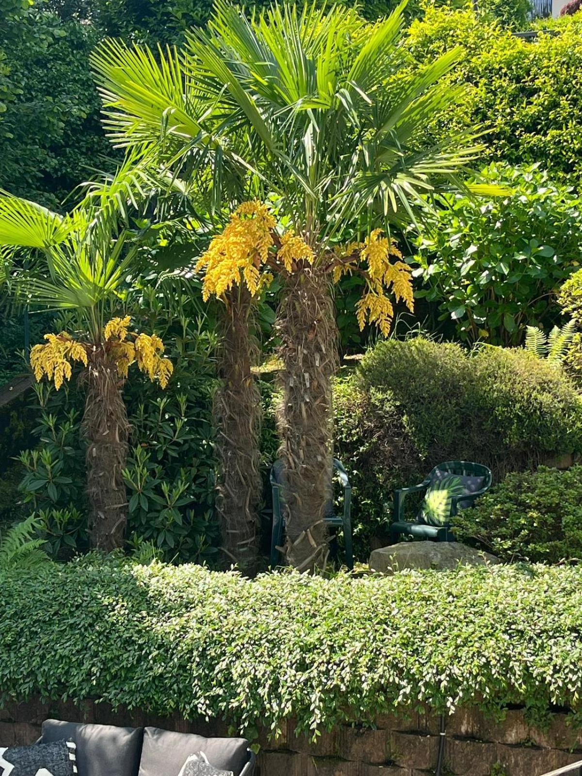 Miralago Stresa Bagian luar foto